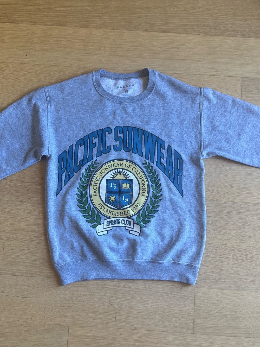 PacSun Light Gray Crewneck Sweatshirt with Blue & Green Graphic